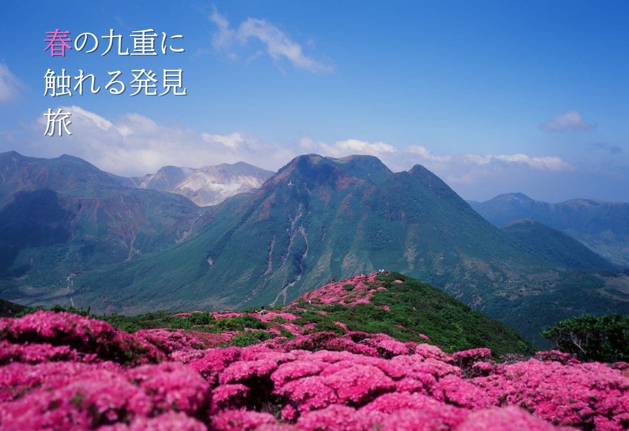 春の九重に触れる旅