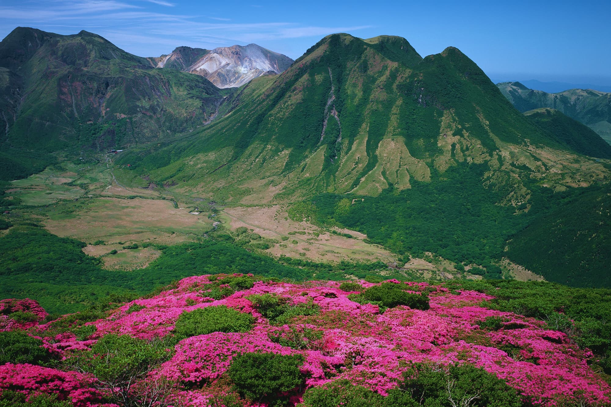 登山向けプラン